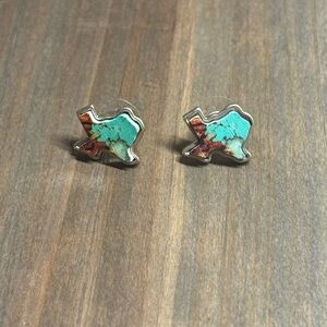 Texas Shaped Earrings with Turquoise and Brown Pattern
